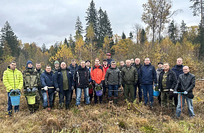 Сотрудники ГУ «БелИСА» приняли участие в республиканской акции «Дай лесу новае жыццё»